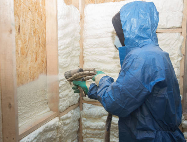 Best Eco-Friendly or Green Insulation Solutions  in Slaton, TX